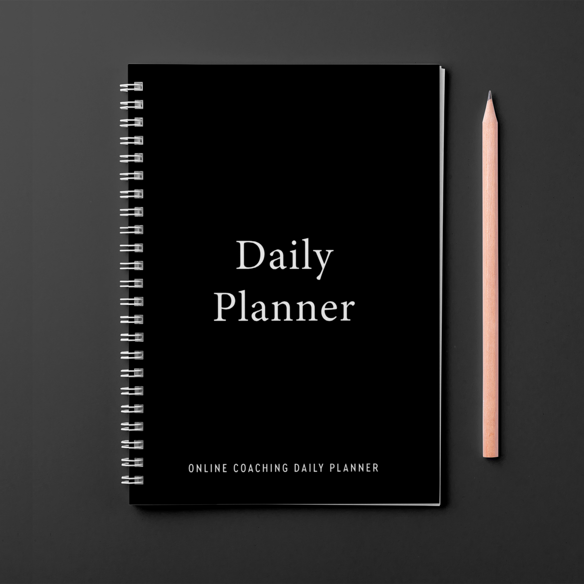 Online Coach Daily Planner – Clay Logbooks
